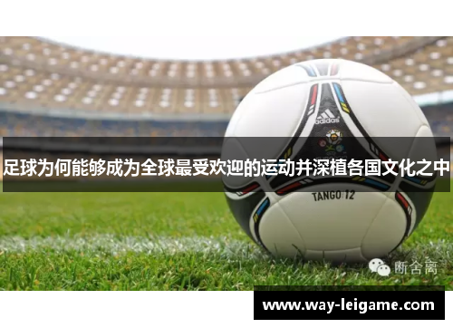 足球为何能够成为全球最受欢迎的运动并深植各国文化之中