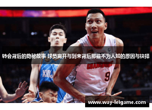 转会背后的隐秘故事 球员离开与到来背后那些不为人知的原因与抉择 转会背后的隐秘故事 球员离开与到来背后那些不为人知的原因与抉择