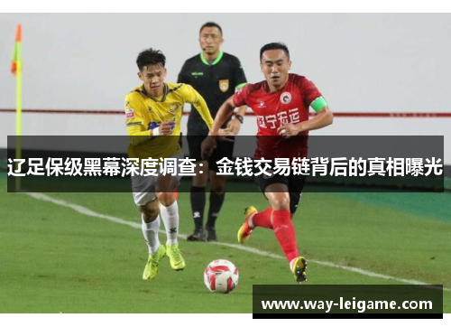 辽足保级黑幕深度调查：金钱交易链背后的真相曝光