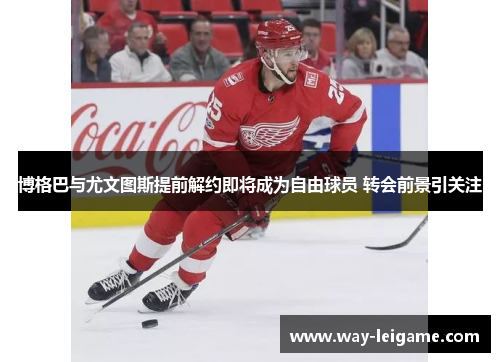 博格巴与尤文图斯提前解约即将成为自由球员 转会前景引关注