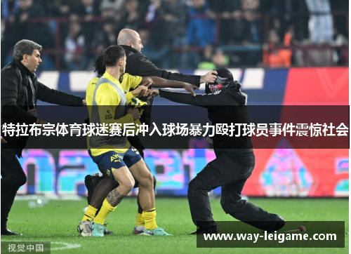 特拉布宗体育球迷赛后冲入球场暴力殴打球员事件震惊社会